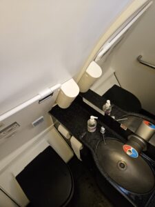 Etihad A321 Business Class Review – etihad airways a321 business class lavatory