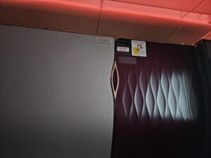 Qatar Airways A350-1000 Business Class Review: QSuite – privacy door