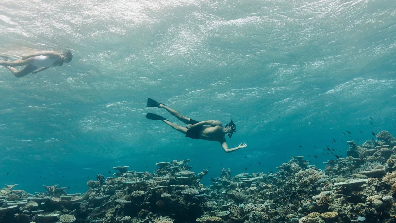 rk Hyatt Maldives Activities Review