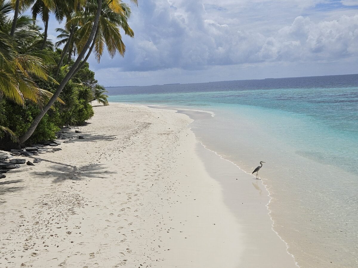 Park Hyatt Maldives Review