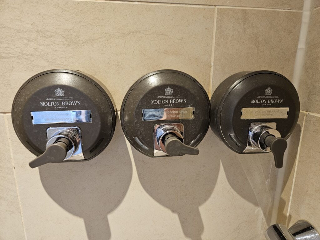 Hyatt Regency London - The Churchill: Bathroom Cleaning Products