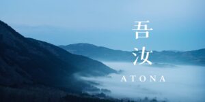 Hyatt Hotel Brands: Atona