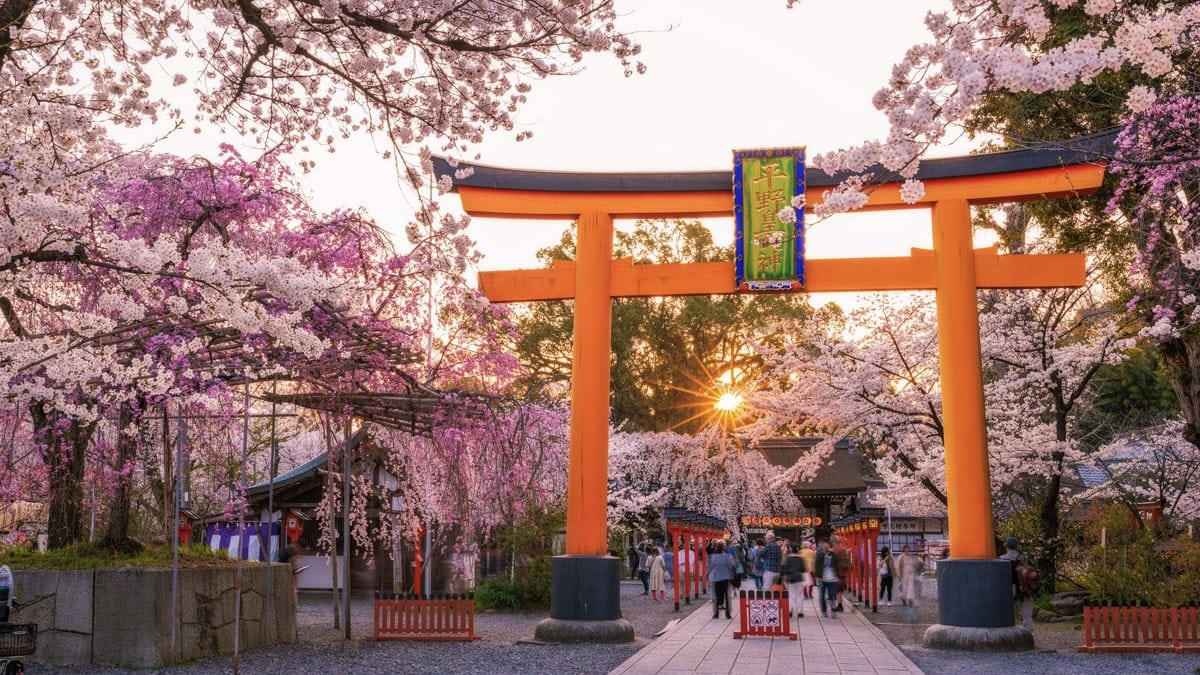 The Best Time To Visit Kyoto - Spring