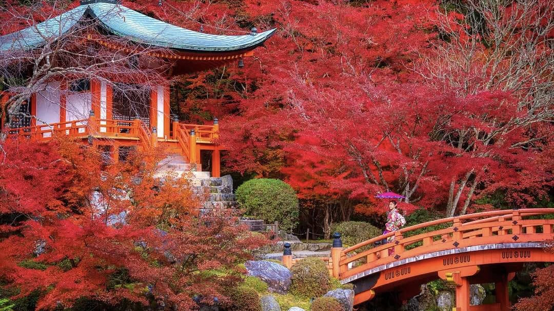 The Best Time To Visit Kyoto - Autumn