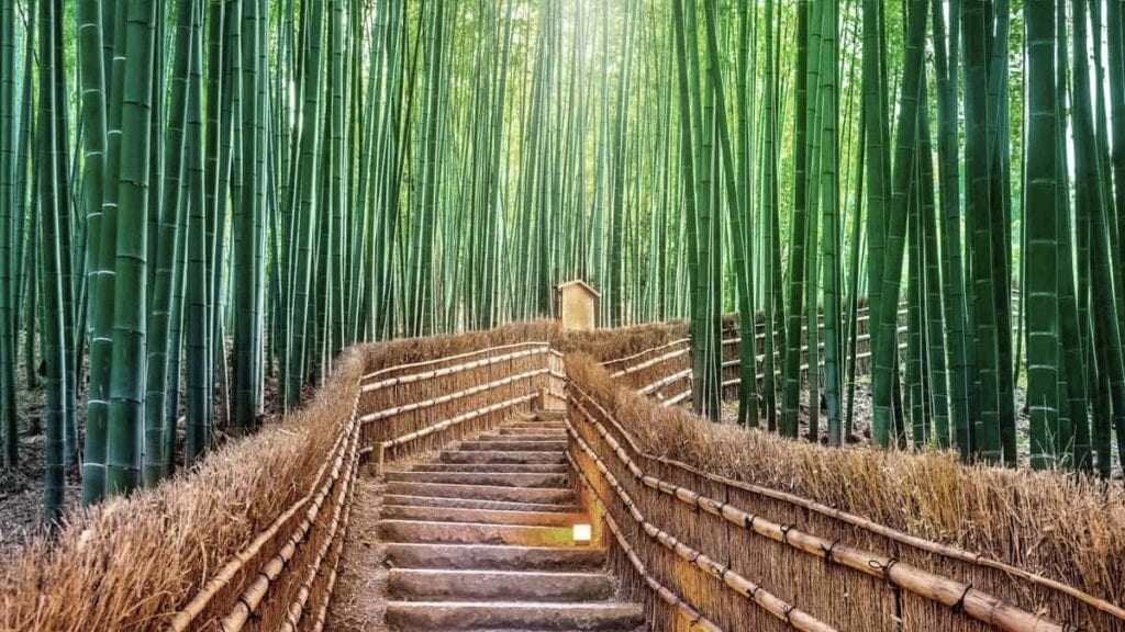 How To Spend 48 Hours In Kyoto: The Perfect 2-Day Itinerary 1 - 48 Hours In Kyoto How To Spend 48 Hours In Kyoto: The Perfect 2-Day Itinerary - Arashiyama Bamboo Grove