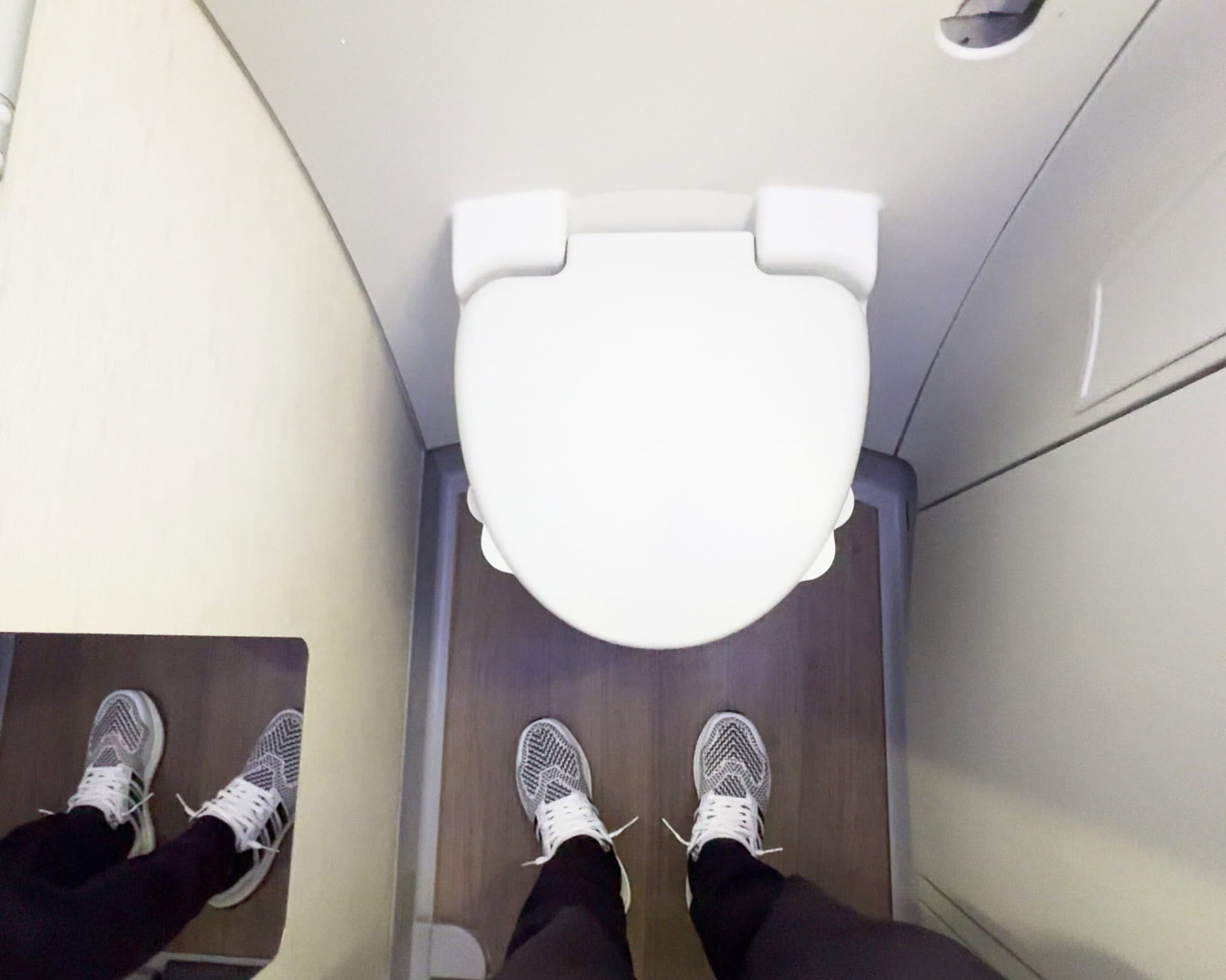 EVA Air 787-10 Business Class [Royal Laurel] Lavatory